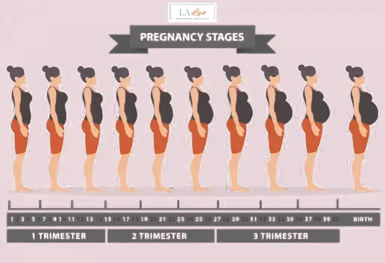 First Trimester (Weeks 1–12): Early Changes You Might Not Notice Derbyshire